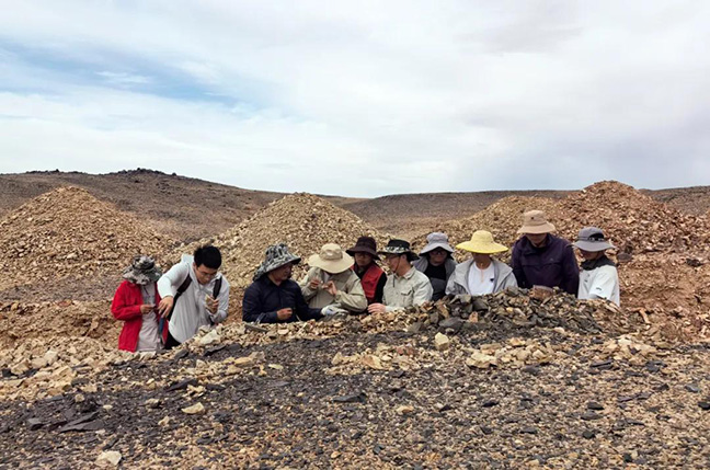 1a1def0e7c915700cc5a45926b5b8e5a